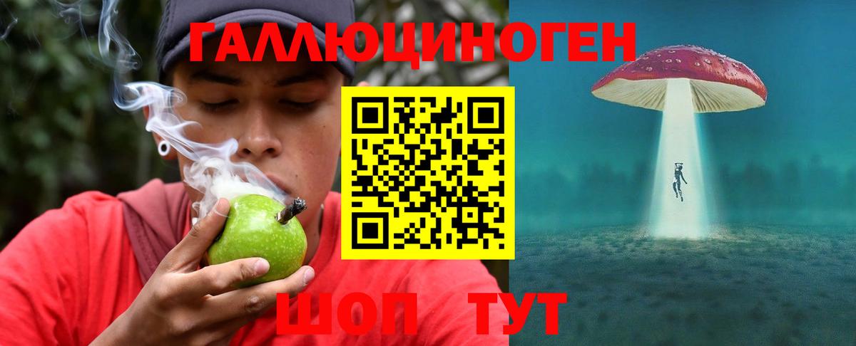 Котельники  магазин    Псилоцибиновые грибы Psilocybe  Вход с VPN  Псилоцибиновые грибы мухоморы 