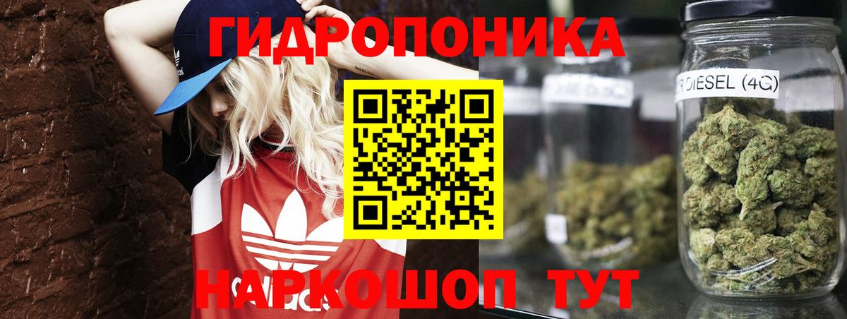 Каннабис план  МАРИХУАНА White Widow  Вход с VPN  Котельники  Бошки Шишки планчик 